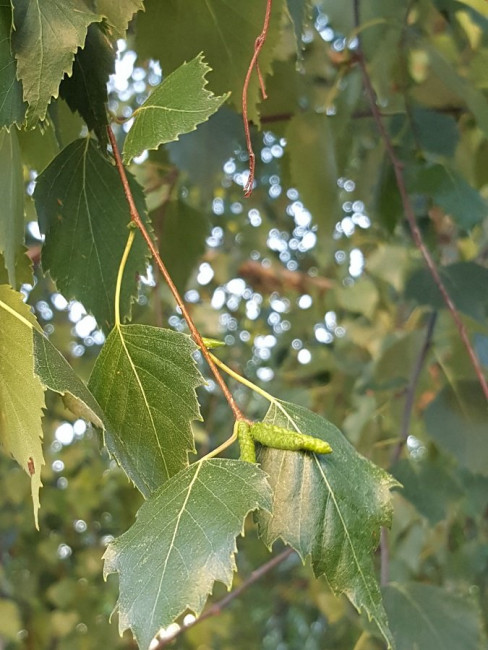 20220901_191953.jpg