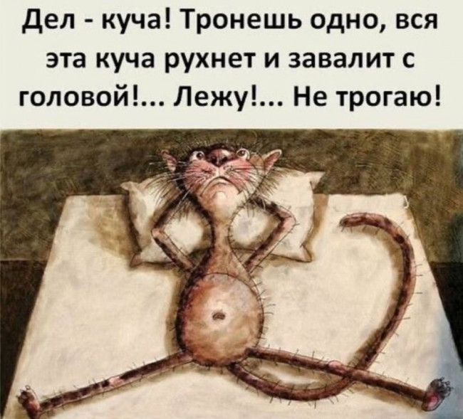 CB1C72D5-5BF5-4F01-8BE1-81D969742A83.jpeg
