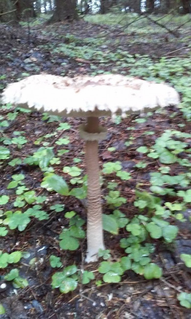 20160807_103231.jpg