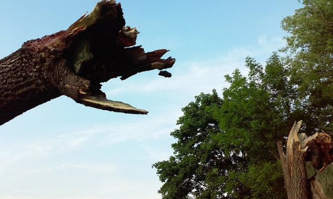 20150530_192947.jpg