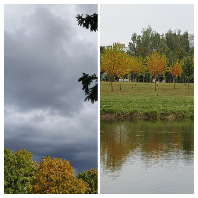 20220920_212310-COLLAGE.jpg