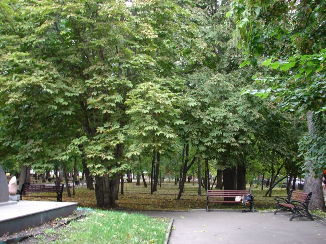 6482.JPG