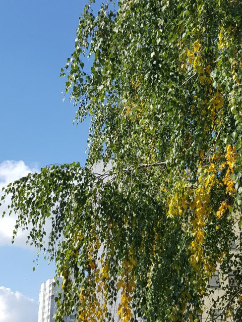 20220926_133116.jpg