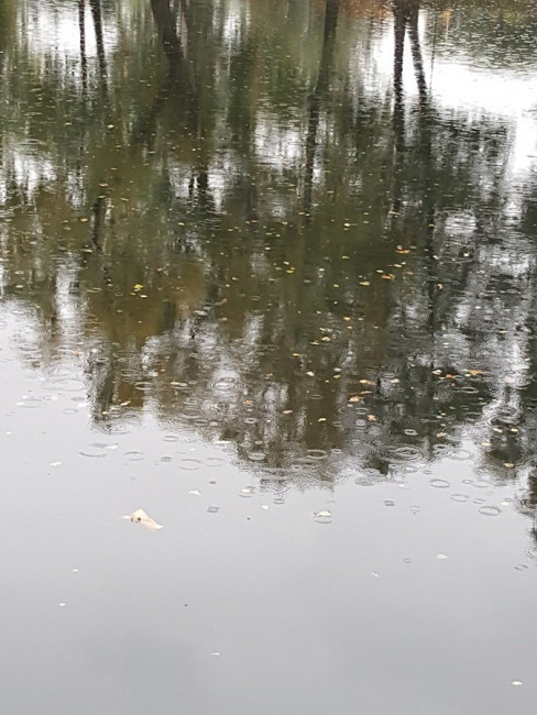 20220929_171820.jpg