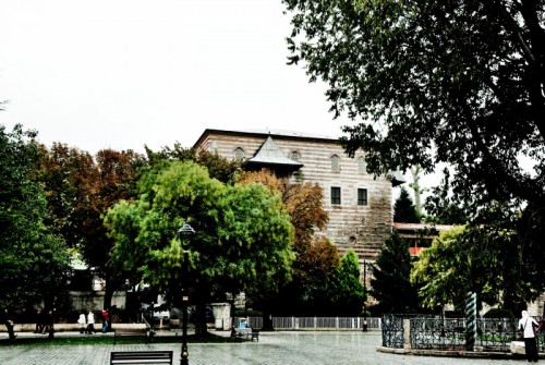 BSC_9927-1 (800x536).jpg