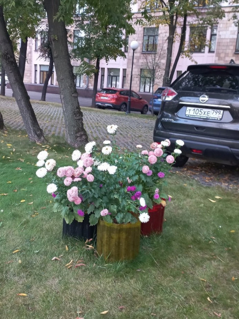 20220922_171604.jpg