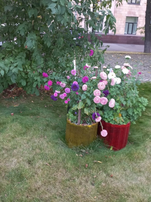 20220922_171530.jpg