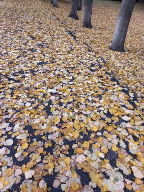 20221002_165152.jpg