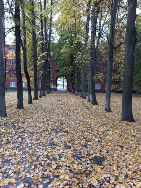 20221002_165133.jpg