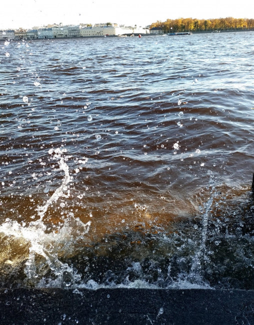 IMG_20221010_101850.jpg