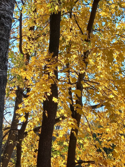 20221010_161331.jpg