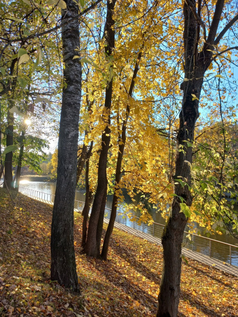 20221010_161315.jpg