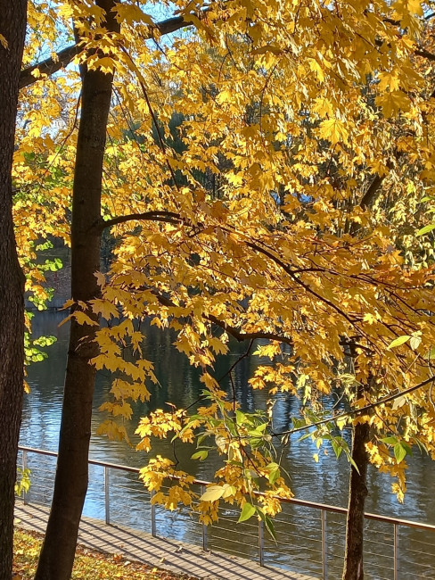 20221010_161338.jpg