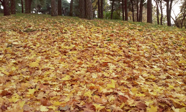 20141014_133713.jpg