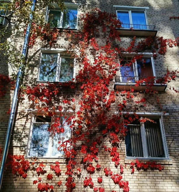 Окна