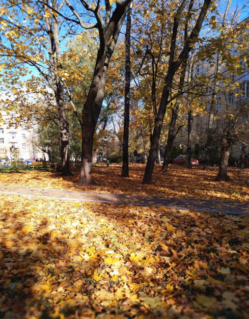 IMG_20221016_153839.jpg