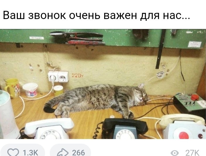 Screenshot_20221017-082755_Yandex Start.jpg