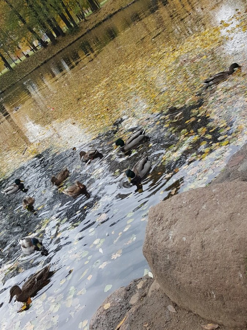20221018_142502.jpg
