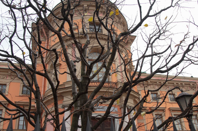 Питер 396.jpg