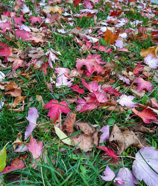 IMG_20221020_231544.jpg