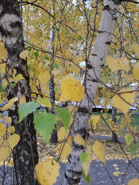 20221018_141615.jpg