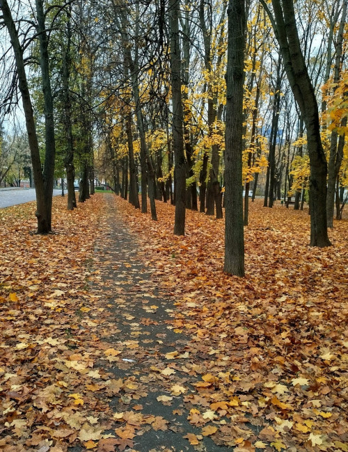 Золотая аллея