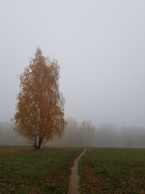 20221025_132614.jpg