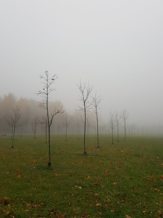 20221025_133550.jpg