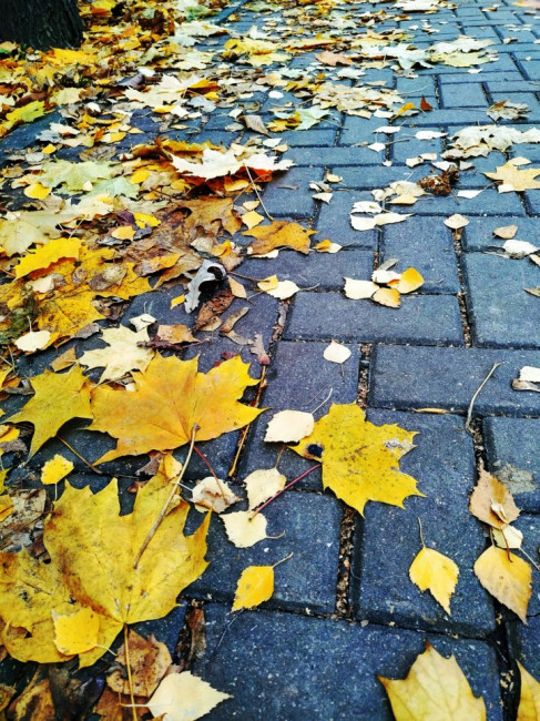 IMG_20221023_114458_HDR (1) (1).jpg