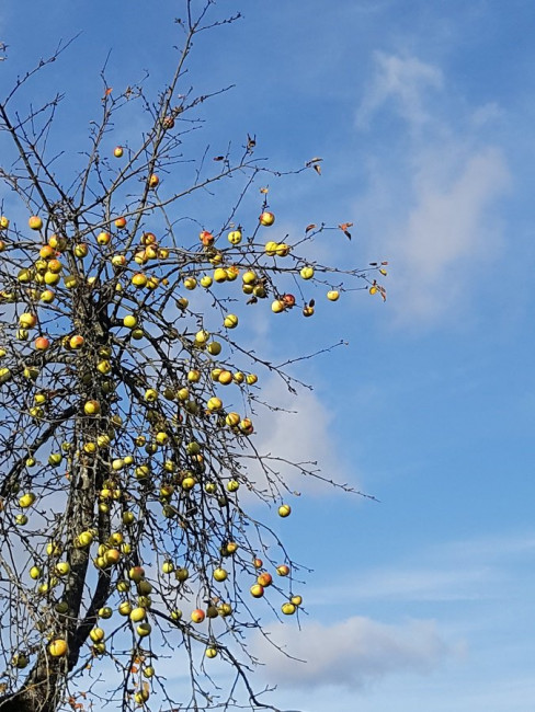 20221030_124915.jpg