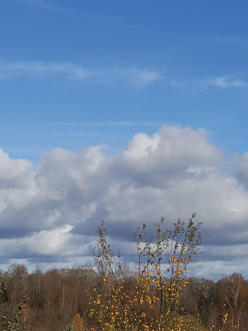 20221030_124847.jpg