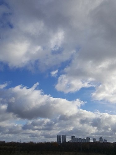 20221030_112558.jpg