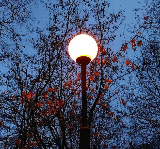 IMG_20221107_164604_HDR~2.jpg