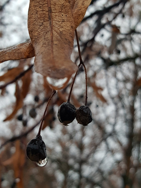 20221106_171249.jpg