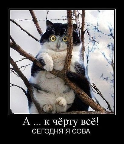 Из сети ))