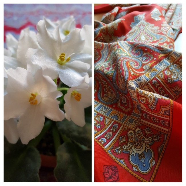 20211101_093909-COLLAGE.jpg