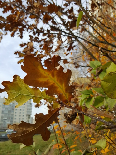 20221109_124515.jpg