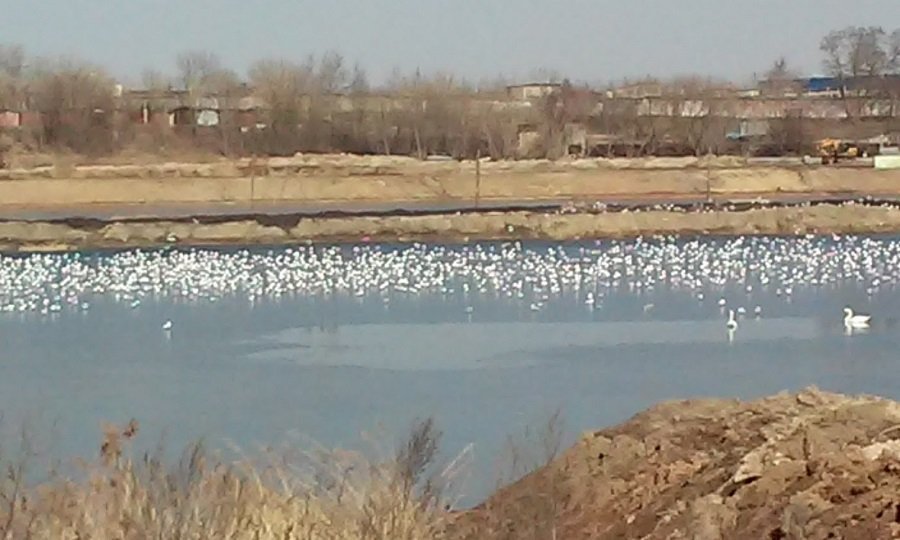 20160326_115100.jpg