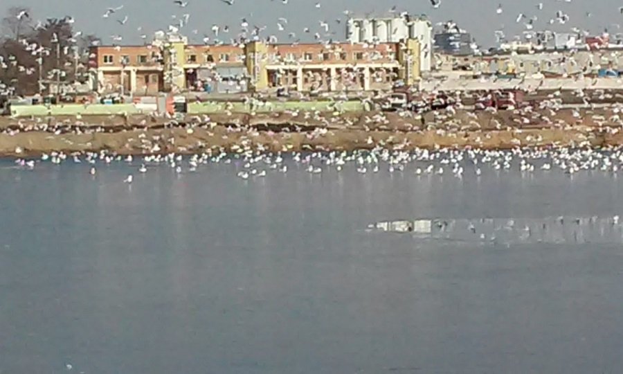 20160326_115235.jpg