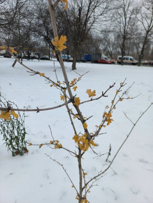 20221118_125450.jpg