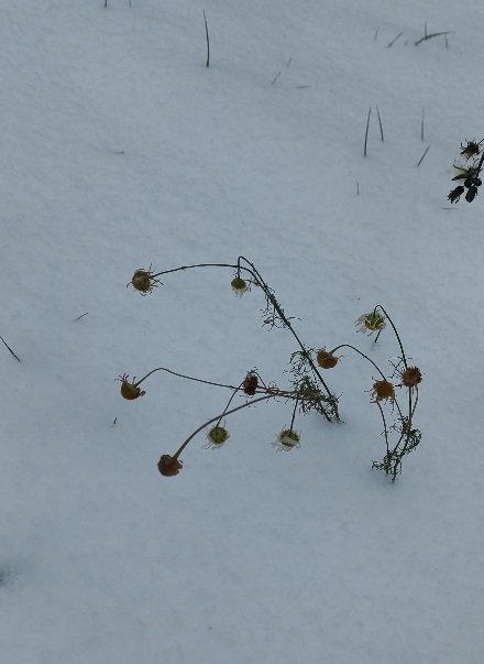20221118_125337.jpg