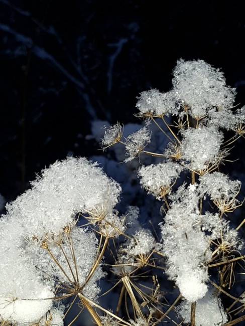 20221119_172008.jpg