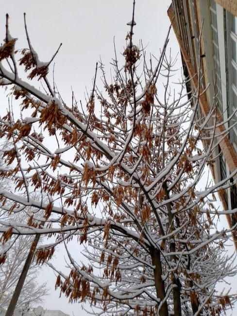 IMG_20221126_170424_HDR.jpg