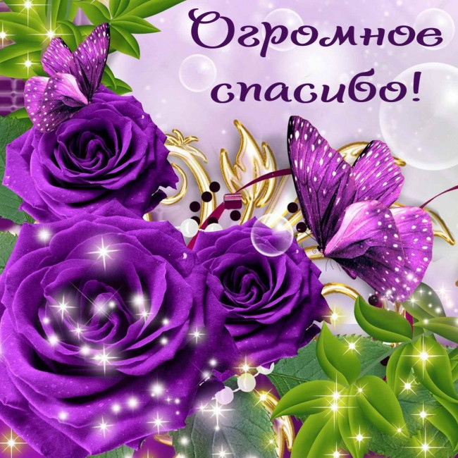 C4ABF408-C6BA-4E18-9471-83ACA1F78EAC.jpeg