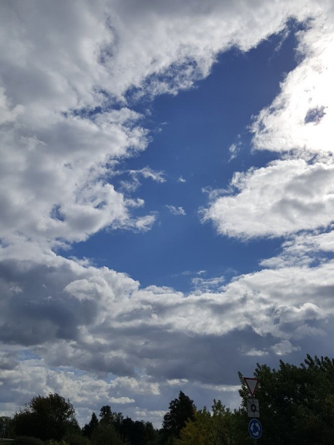 20220917_125446.jpg