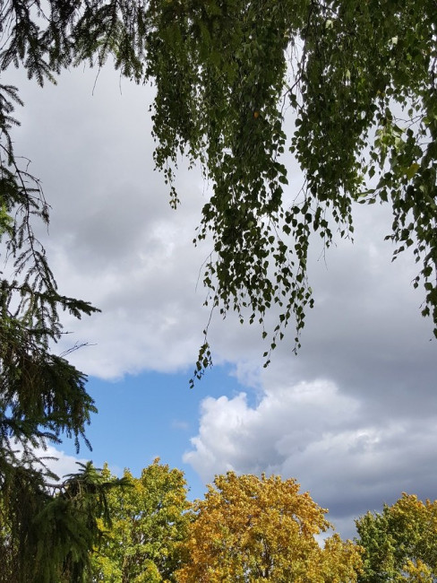 20220917_130230.jpg