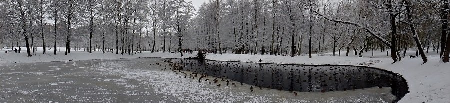 PANO_20221127_141401.jpg