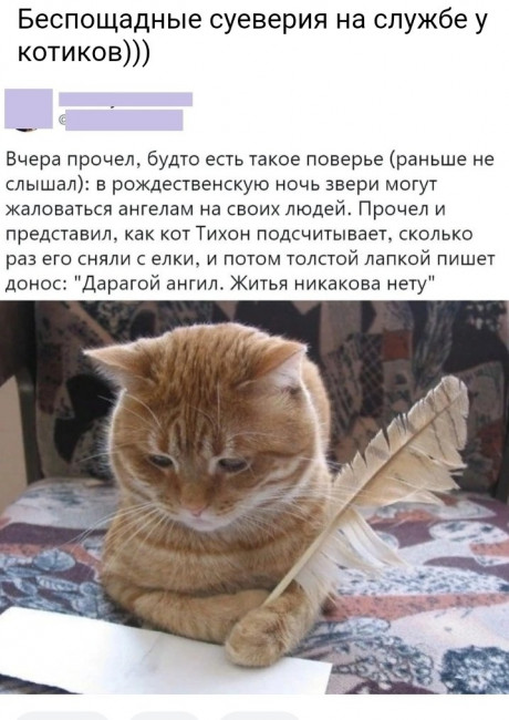 Screenshot_20230108-111911_Yandex Start.jpg