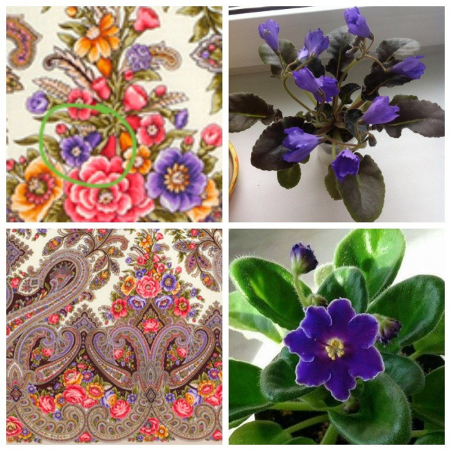 MyCollages.jpg
