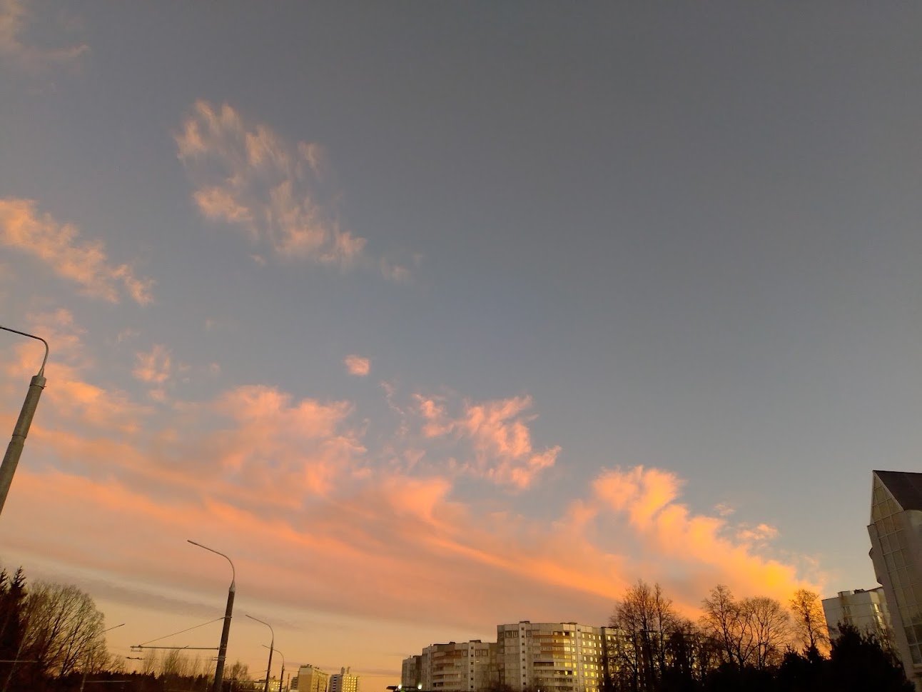 IMG_20230214_181912.jpg